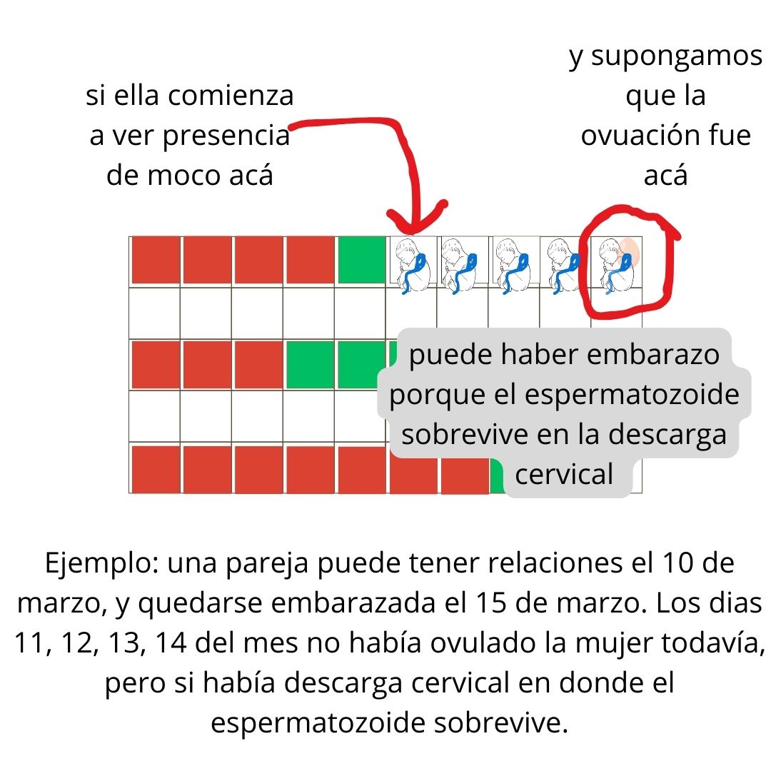 El embarazo puede ocurrir por una relación sexual hasta 5 días antes